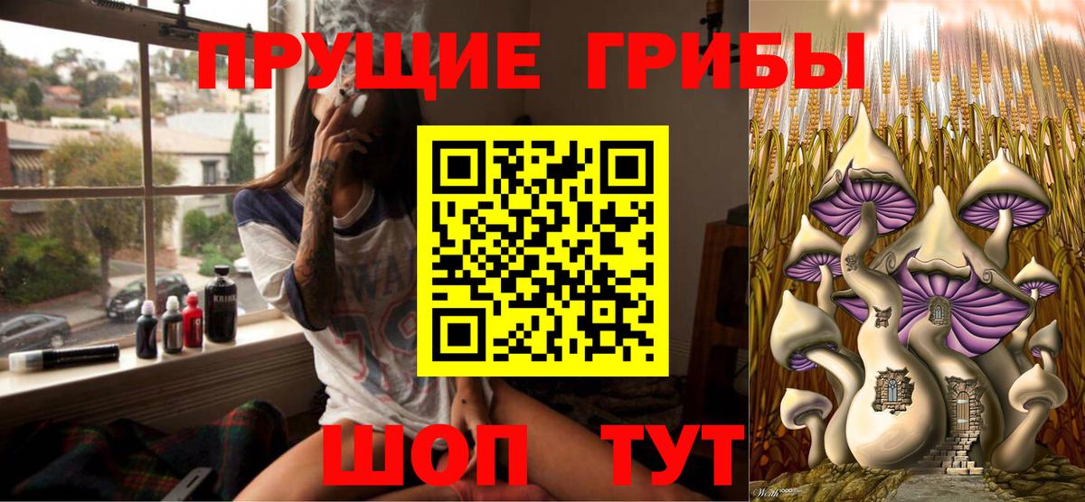 Надым  Псилоцибиновые грибы Cubensis  Вход с VPN 