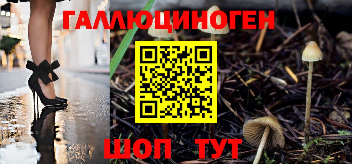 Галлюциногенные грибы Magic Shrooms Надым